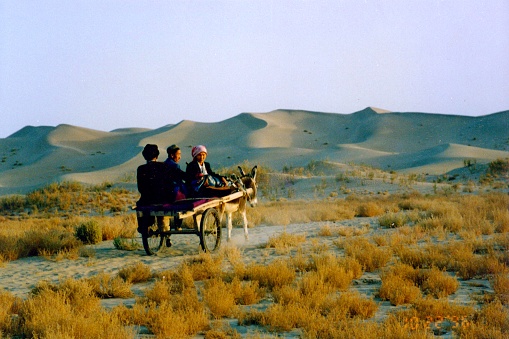 On the way home in the dusk,the Uyghurs ride in donkey carts in the desert.Film was photo on 11/01/1996, in the Hotan, Xinjiang, China