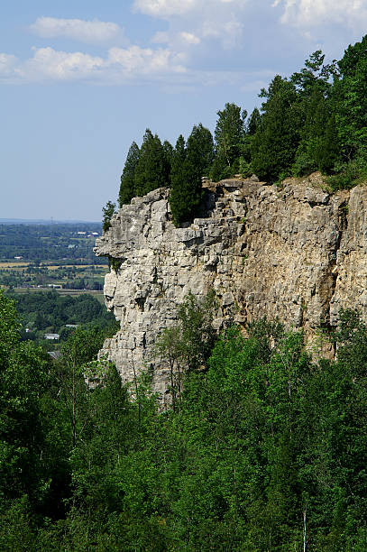 Cliff Cliff at Kelso Conservation area grunt fish stock pictures, royalty-free photos & images