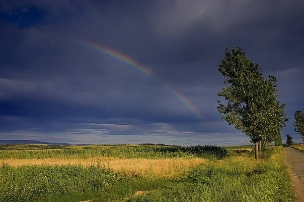 Landscape stock photo