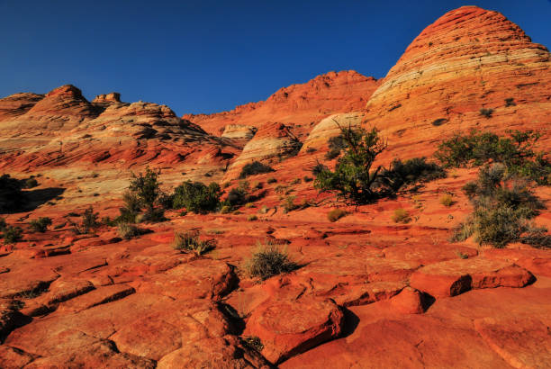 istock Sandstone formations on the route to The Wave 1395364772