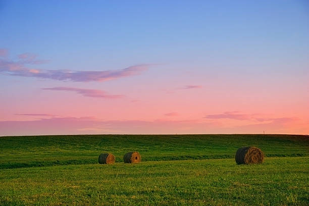 Landscape stock photo