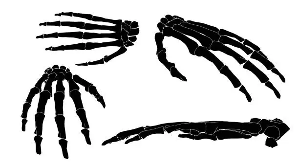 Vector illustration of 4 different views of forearm in black and white