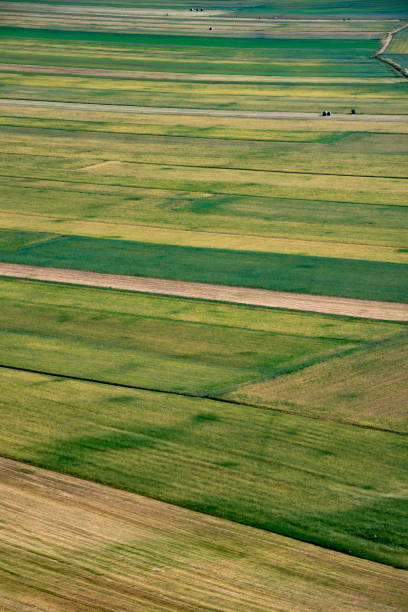 istock Valley with green agricultural fields in summer 1395365721