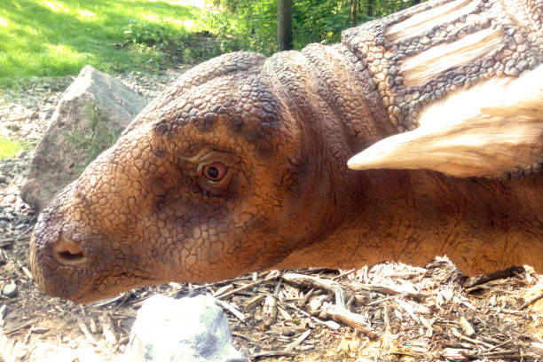 istock Dinosaur close up in the forest 1395366615
