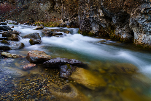 Creek Flowing Scenic Landscape - Wilderness scene with flowing silky smooth water moving through canyon.