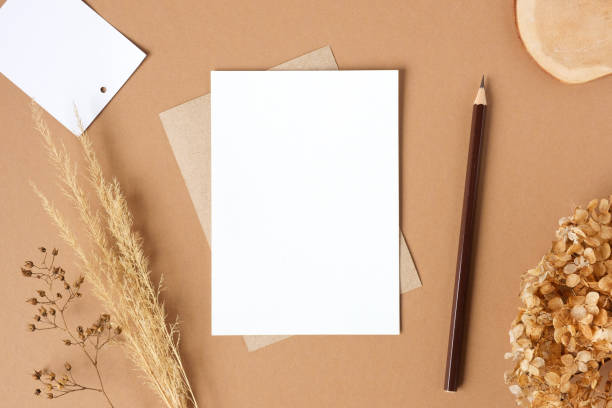 istock Blank greeting card, invitation mockup. Dry grass, pampas plant on beige table background. Flat lay, top view. Copyspace. Paper cards, mock up. Modern Minimal business brand template. Soft shadow, A6 1395367706