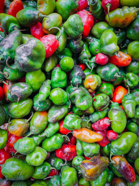 istock Habanero Peppers 1395368995