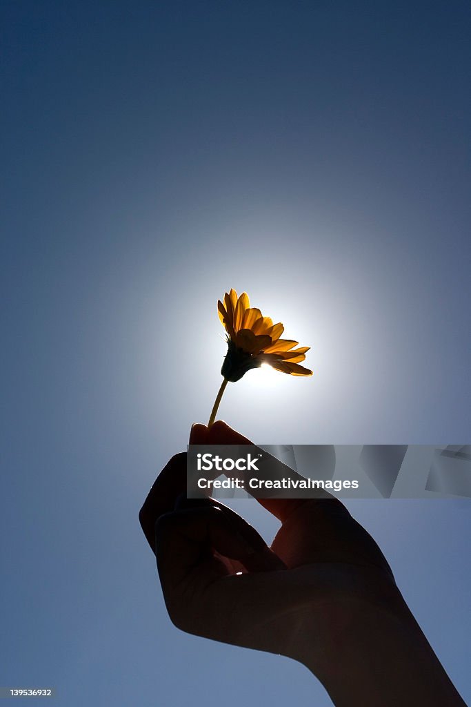 Hält eine Blume - Lizenzfrei Alternative Behandlungsmethode Stock-Foto