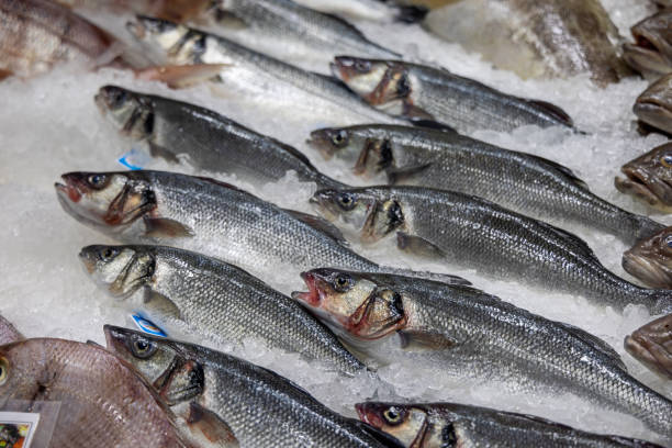 istock Fish on ice in a fishmongers shop 1395369364