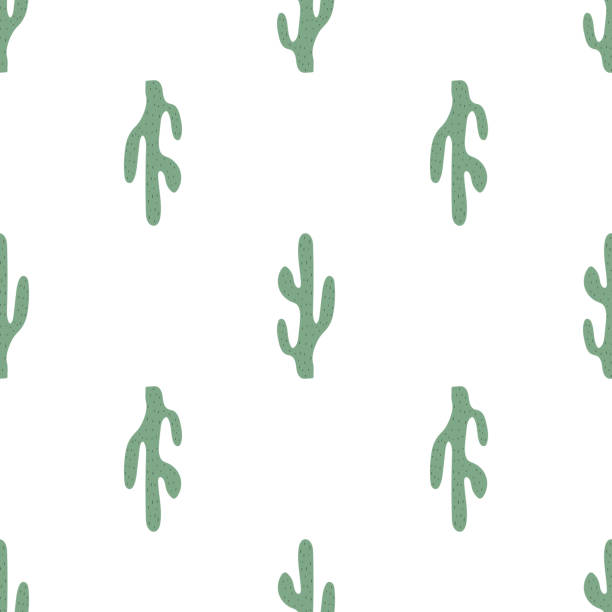 ilustraciones, imágenes clip art, dibujos animados e iconos de stock de lindo patrón de cactus dibujados a mano. símbolo mexicano. tema del salvaje oeste. impresión vectorial de moda coloreada a mano. - abstract backgrounds botany cactus