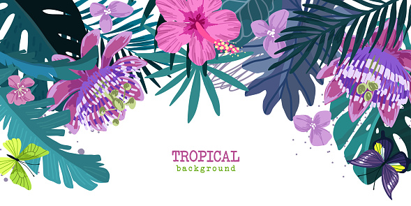 Tropical floral background, blue and purple leaves and pink passiflora and hibiscus flowers,  hand drawn cartoon vector illustration
