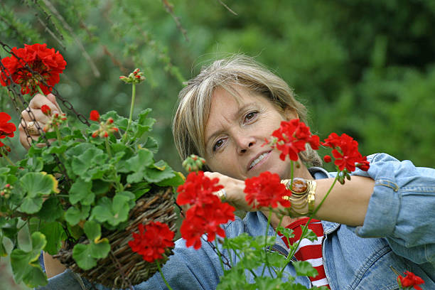 istock in the garden [3] 139537598