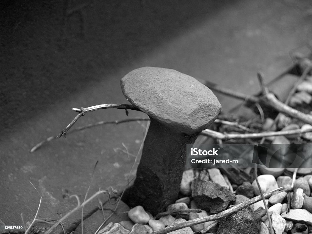 Old Railroad Spike (B & W - Photo de Blanc libre de droits