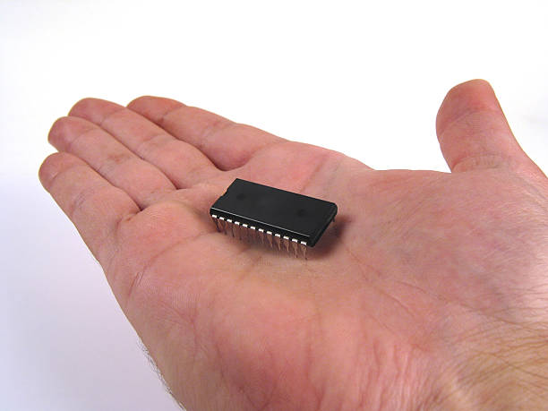 Mini Chip Hand 140+ Byte Orders Stock Photos, Pictures & Royalty-Free Images - iStock