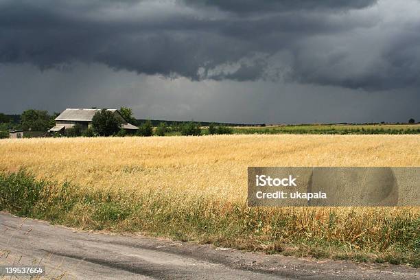 Sturm Auf Dem Feld Stockfoto und mehr Bilder von Agrarbetrieb - Agrarbetrieb, Dorf, Dunkel