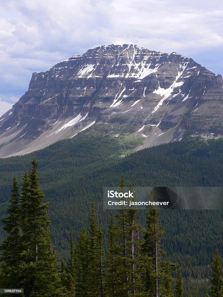 Acima do Treeline - Royalty-free Alberta Foto de stock