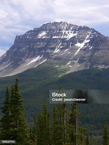 Acima Do Treeline - Fotografias de stock e mais imagens de Alberta - Alberta, Alto - Descrição Física, Ao Ar Livre