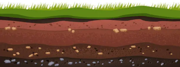 Vector illustration of Underground soil layers, green grass surface, vector ground texture, cartoon garden dirt background.