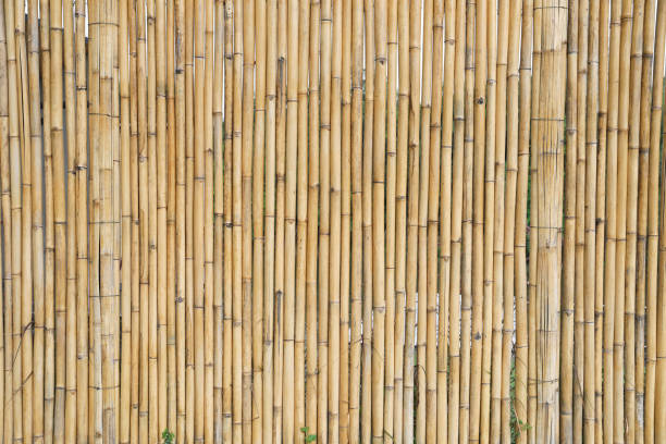 istock Bamboo plank fence texture for naturel background 1395377479