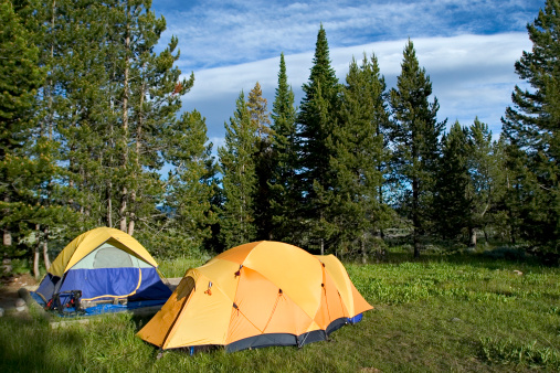 Camping in Grand Teton National park