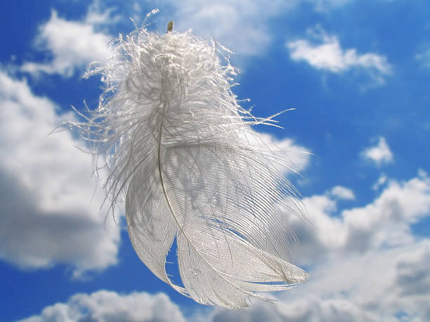 istock Gift of the Angel 139537955