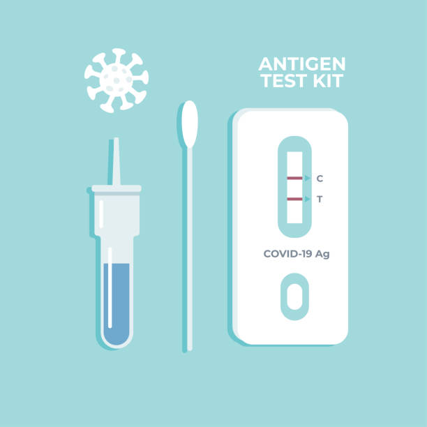 Set of ATK for prevention of infection from covid-19 epidemic, omicron. Antigen test kit with buffer dropper and swab stick. Flat vector illustration. Set of ATK for prevention of infection from covid-19 epidemic, omicron. Antigen test kit with buffer dropper and swab stick. Flat vector illustration covid 19 positive stock illustrations