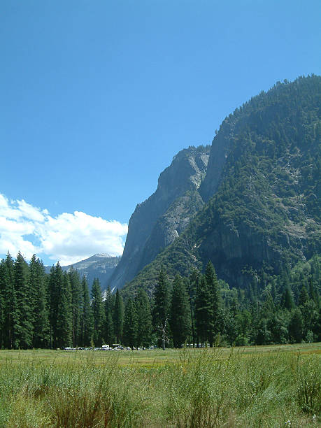 Yosemite valley stock photo