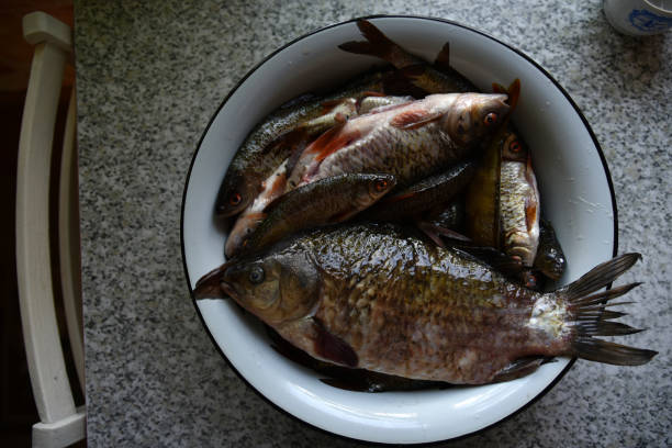 istock Fresh fish crucian carp and roach in a saucepan 1395381655