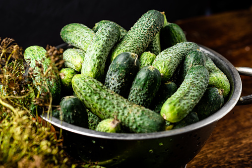 Fresh organic cucumbers in a sieve and herbs on a dark wooden background. Preparing for pickling.