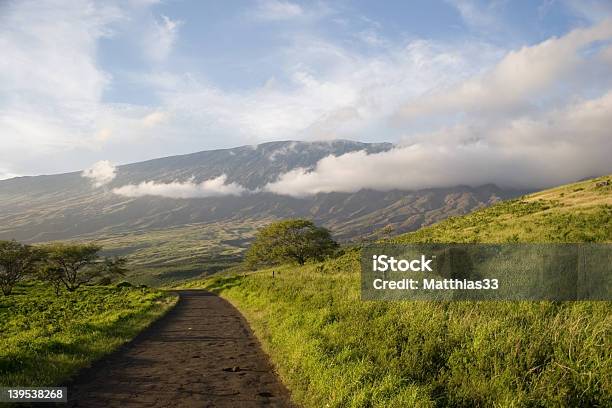 Road To Nowhere Stock Photo - Download Image Now - Crime, Hawaii Islands, Hana - Maui