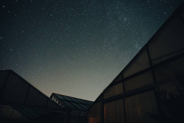 the stars at night illuminate the dark sky above the greenhouse