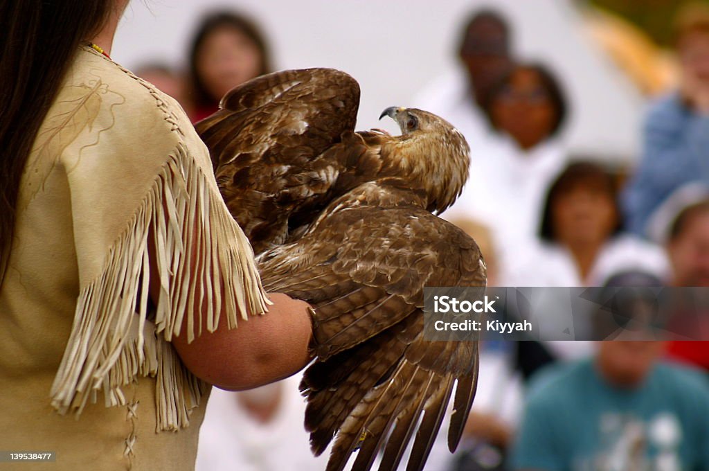 Ceremonia de los indios nativos estadounidenses - Foto de stock de Pow wow libre de derechos