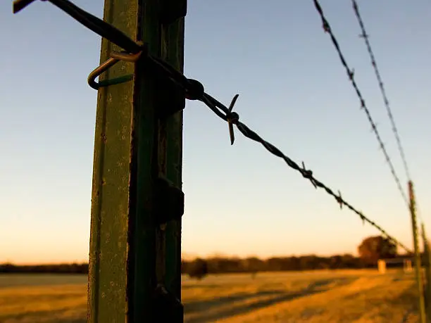 Texas pasture fence at sunset