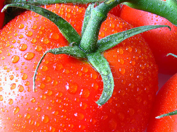 Bagnato e rosso - foto stock