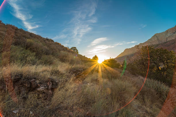 Meadow in Zion National Park in Utah