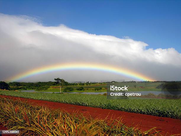 Rainbow At Dole Plantation Stock Photo - Download Image Now - Plantation, Hawaii Islands, Oahu