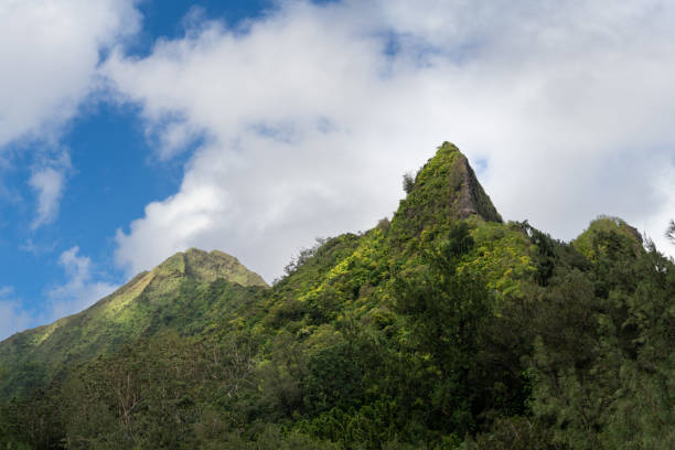 istock Green tropical mountain 1395389181