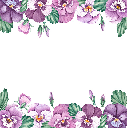 Watercolor frame of pansies on a white background for decorating postcards, wedding invitations, books, websites, etc