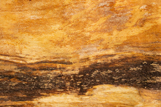 istock Dark wood texture background surface with imperfections. Old natural axe cut log for fire or decoration. 1395391487