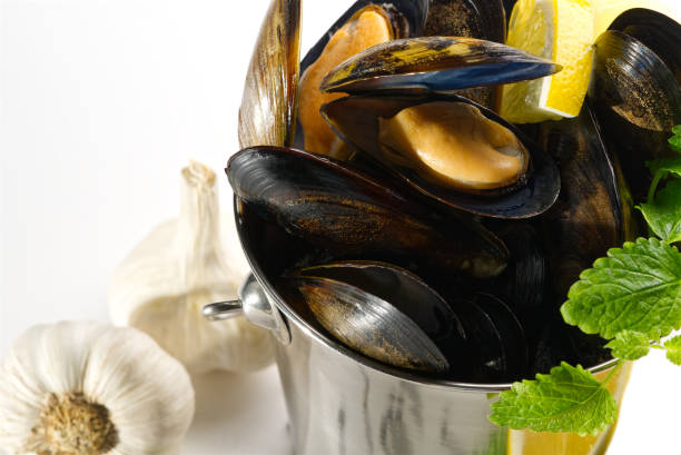 istock Shellfish dish. Seafood dishes. Mussels in sauce. 1395392739