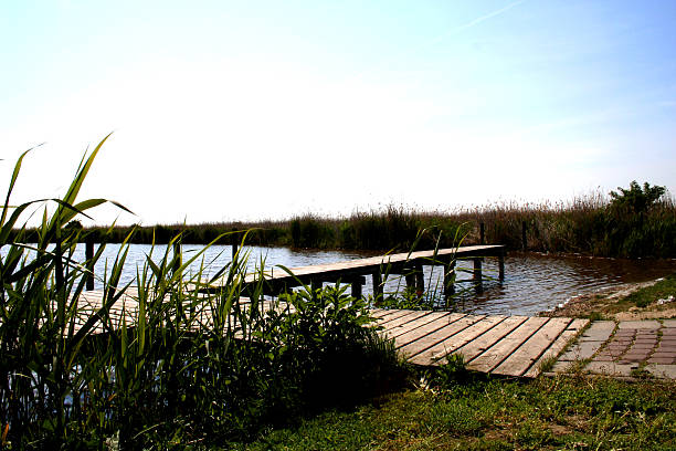 istock Neusiedler-Sea 139539414