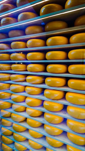 istock a shop window full of cheese in munich 1395394877