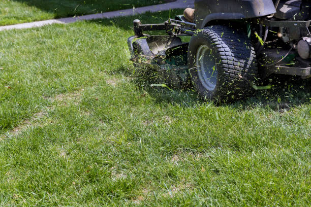 istock Mowing cutting the long grass with a green lawn mower 1395395116