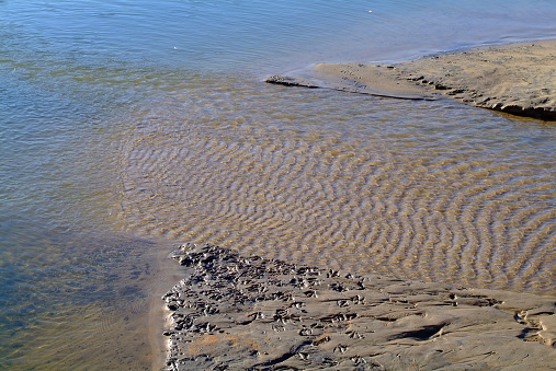 a small sandy peninsula on the river, in spring