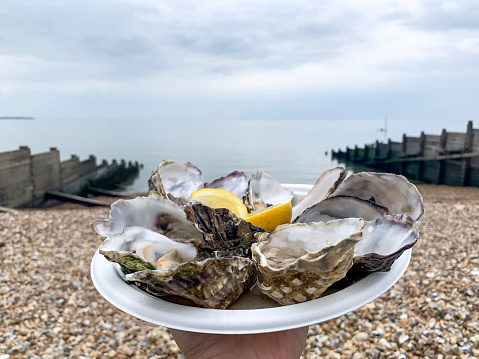 Picnic by the sea hand holding plate with dozen of fresh oysters lemon wedges twilight pebble beach. Take away food. Eating away.
