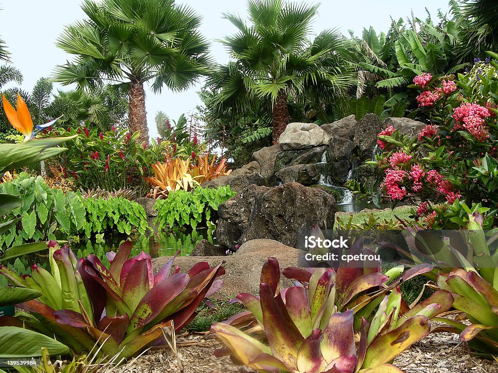 Dole Plantation jardim - Foto de stock de Plantação royalty-free