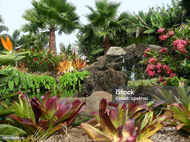 Foto de Dole Plantation Jardim e mais fotos de stock de Plantação - Plantação, Exterior, Flor