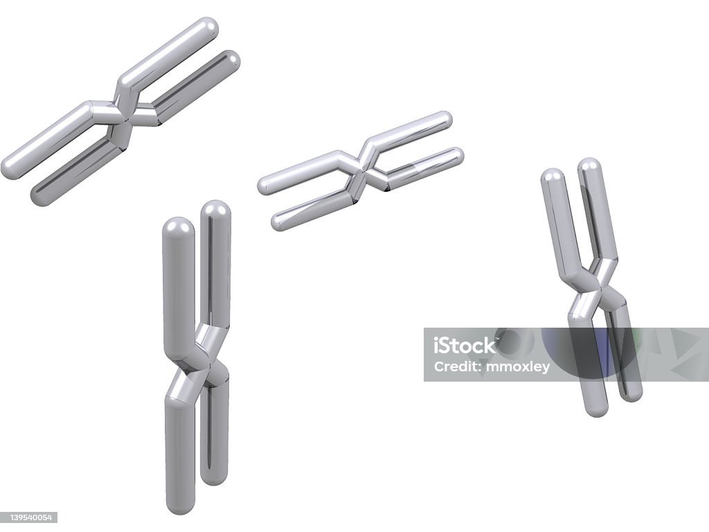 Modelo cromosómicas - Foto de stock de ARN libre de derechos