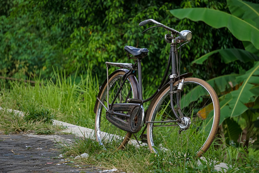 Classic bicycle with nature background