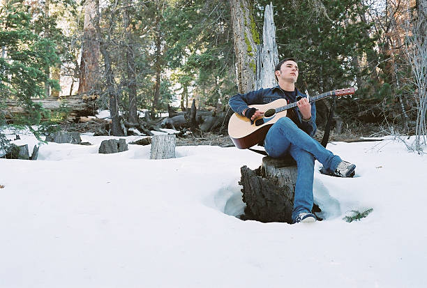 Winter guitar stock photo